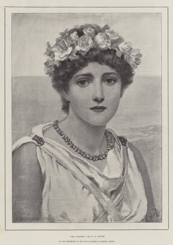 Mořské máky od Norman Prescott Davies