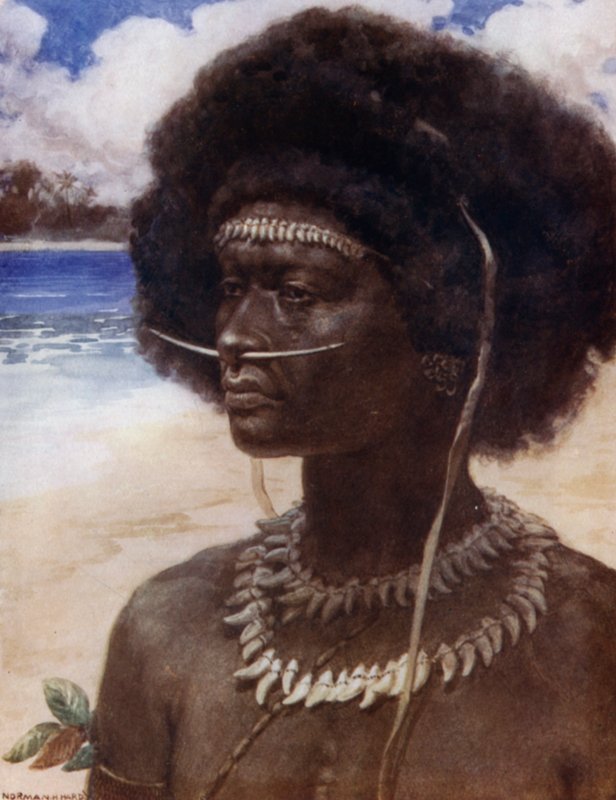 A New Guinea Dandy (barevné lito) od Norman Hardy