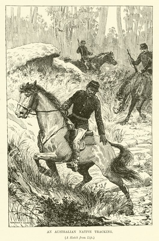 Sledování australského domorodce (rytina) od Norman Hardy