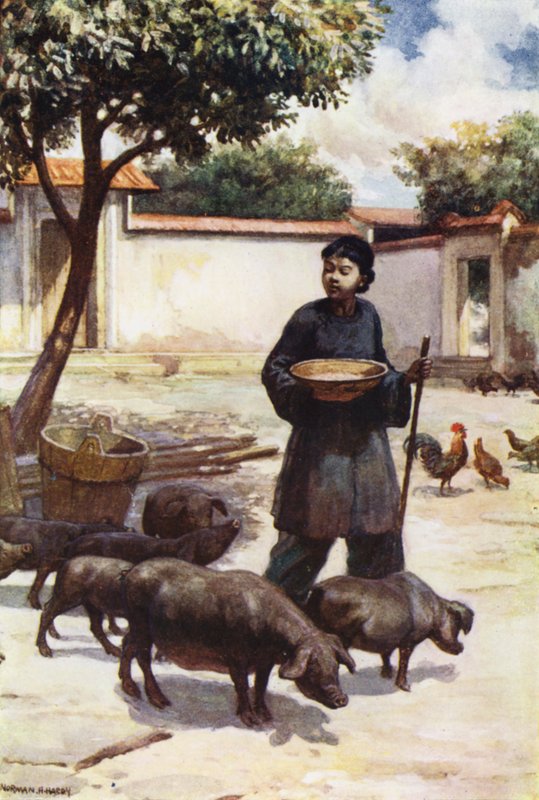 Závěsný od Norman Hardy