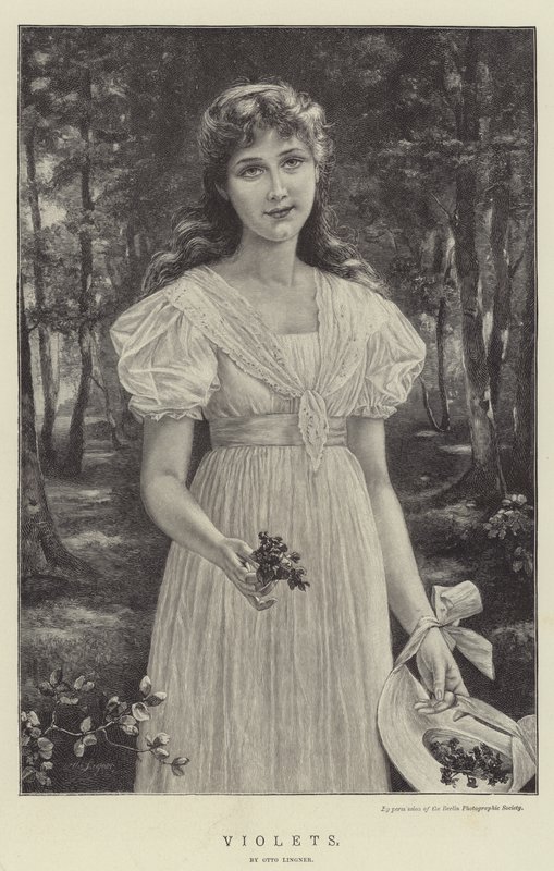 Fialky od Otto Theodor Gustav Lingner