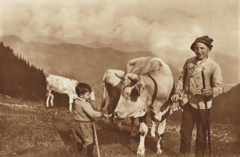 Na Alpách od Otto Ballerstedt