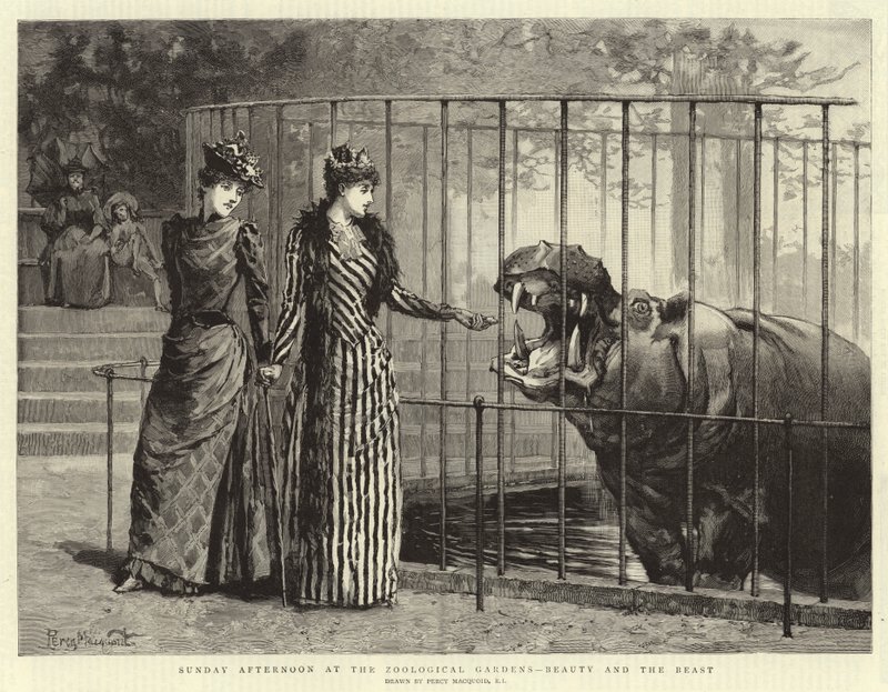Nedělní odpoledne v zoologické zahradě Kráska a zvíře od Percy Macquoid