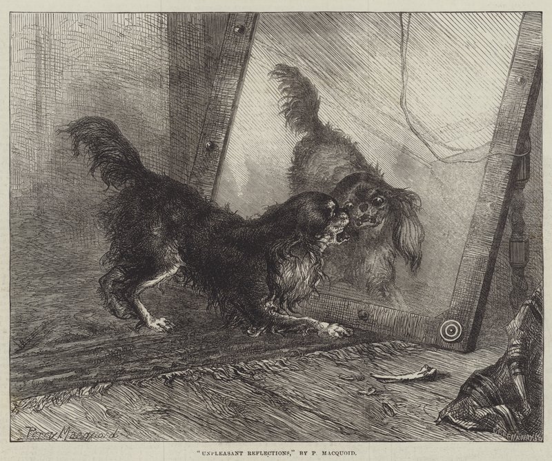 Nepříjemné odrazy od Percy Macquoid
