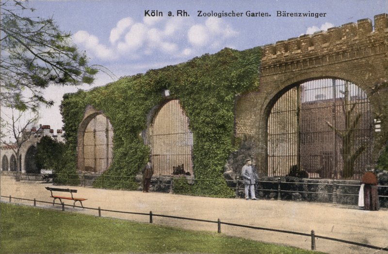 Kolínská zoo, medvědi (foto) od Photographer German