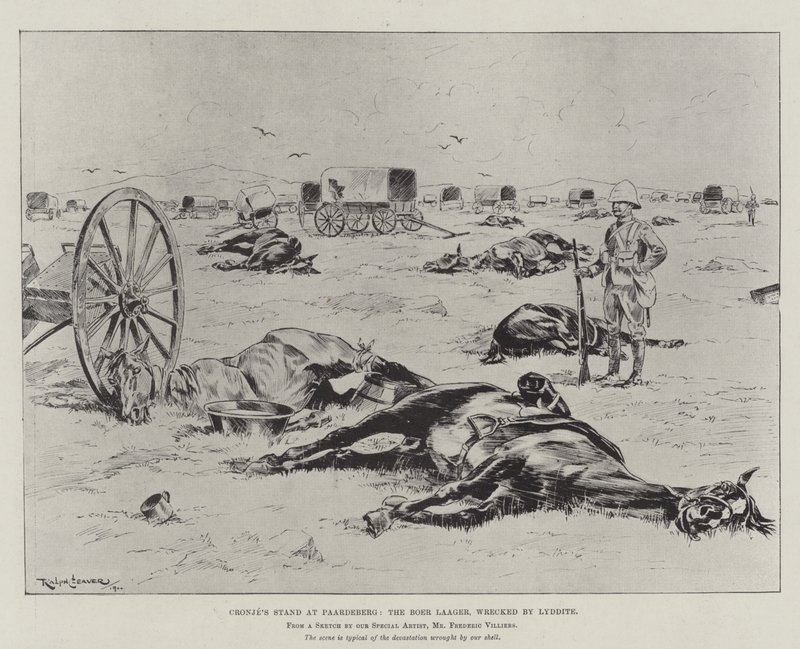 Cronjeho stánek v Paardebergu, Boer Laager, zničený Lyddite od Ralph Cleaver
