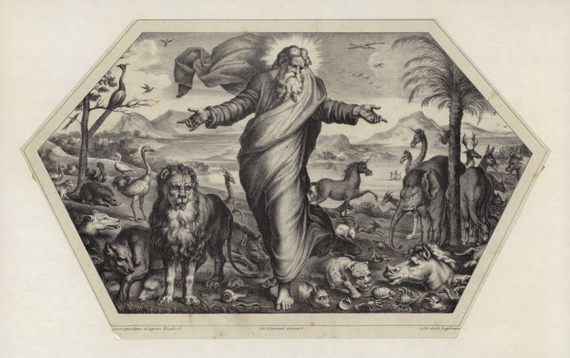 Stvoření zvířat od Raffaello Sanzio Raphael