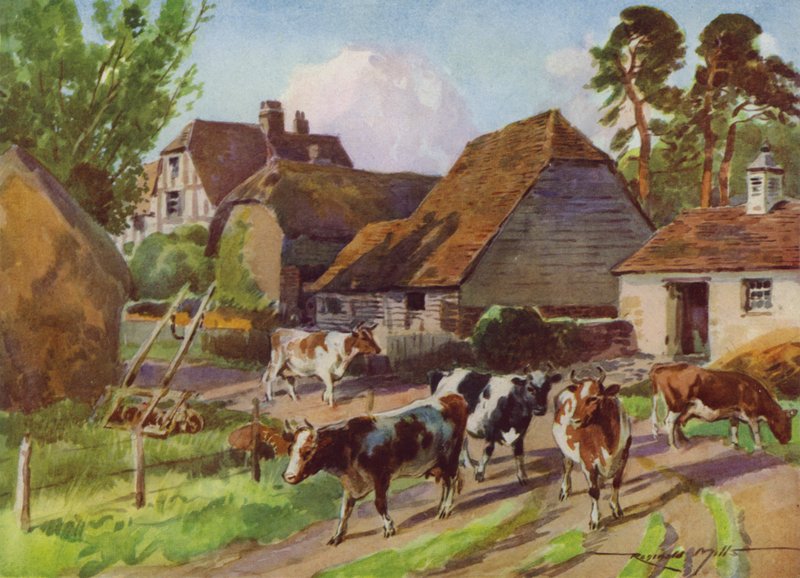 Ilustrace pro Moje farma (barevné lito) od Reginald Mills