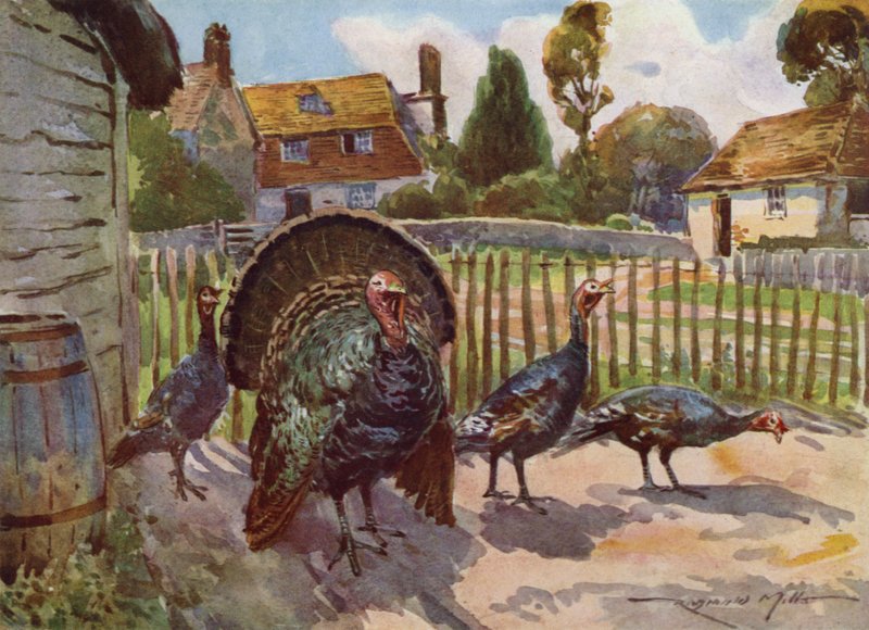 Ilustrace pro Moje farma (barevné lito) od Reginald Mills