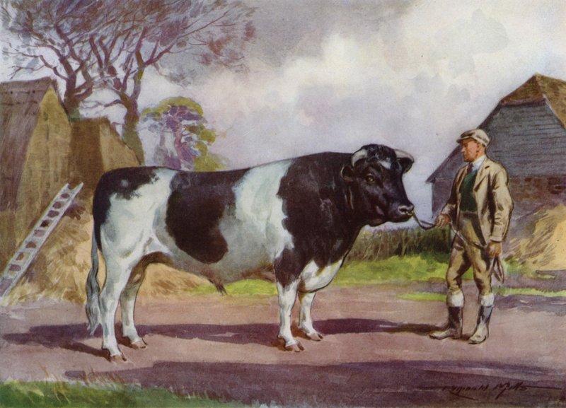 Ilustrace pro Moje farma (barevné lito) od Reginald Mills