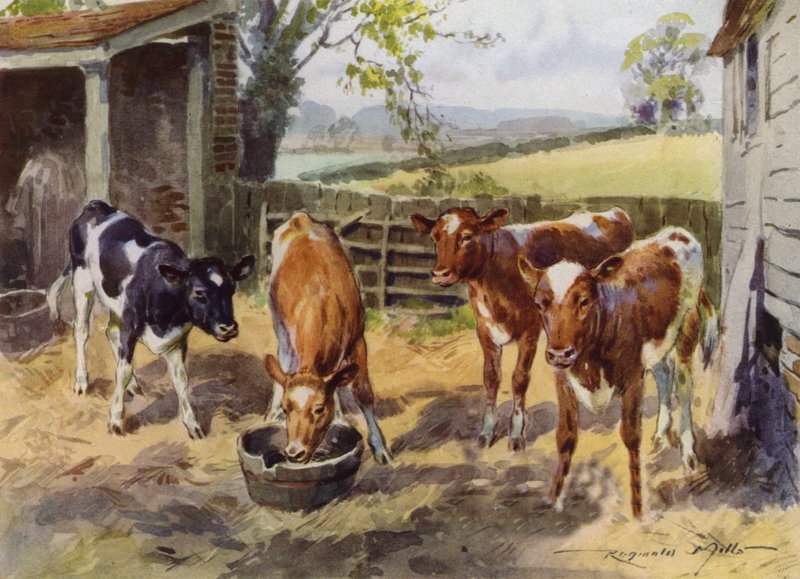 Ilustrace pro Moje farma (barevné lito) od Reginald Mills