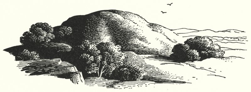 Hans Christian Andersen: The Elfin-Mount (litho) od Rex (after) Whistler