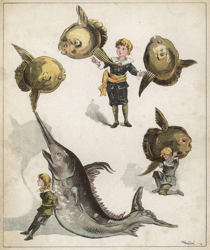 Rybí gymnastika (chromolitho) od Richard Andre