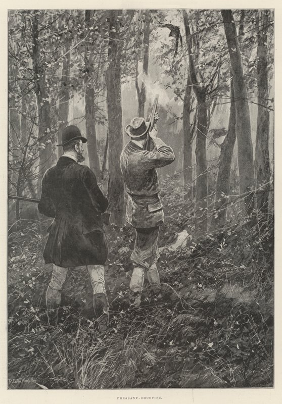 Bažant-Střelba od Richard Caton Woodville junior