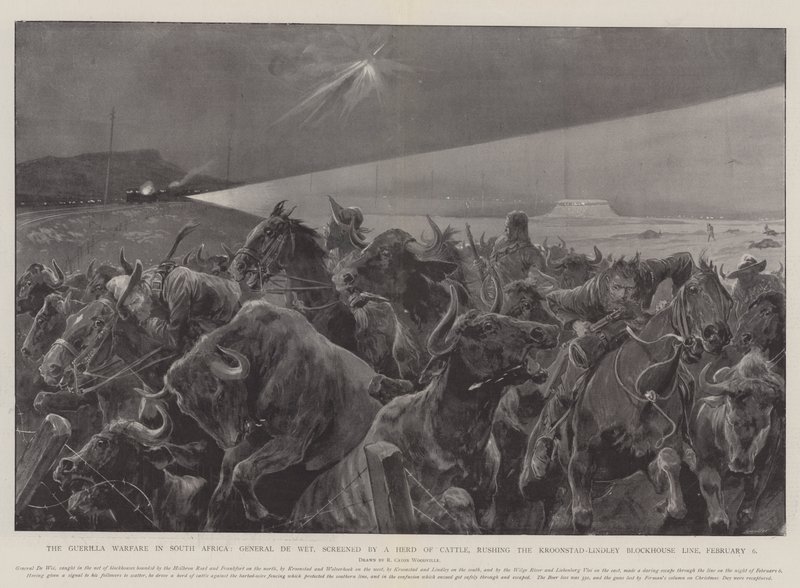 Guerilla Warfare v Jižní Africe, generál De Wet, promítán stádem dobytka, řítícím se přes Kroonstad-Lindley Blockhouse Line, 6. února od Richard Caton Woodville junior