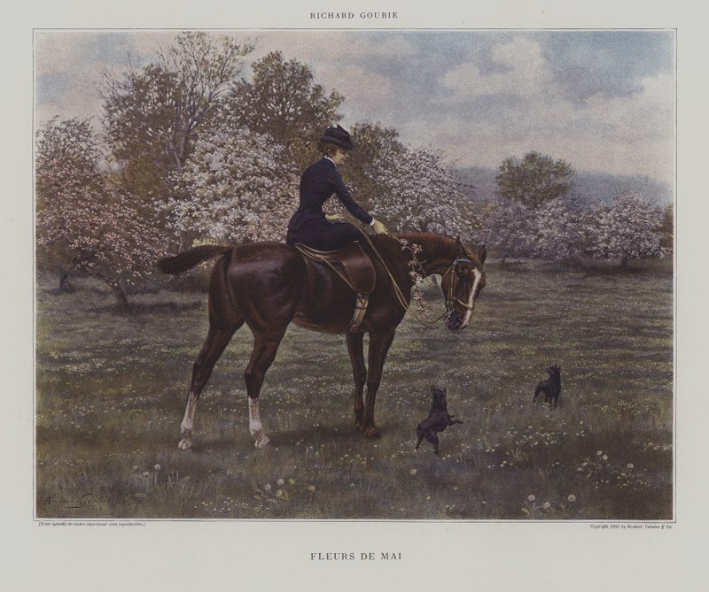 květnové květy od Richard Doyle