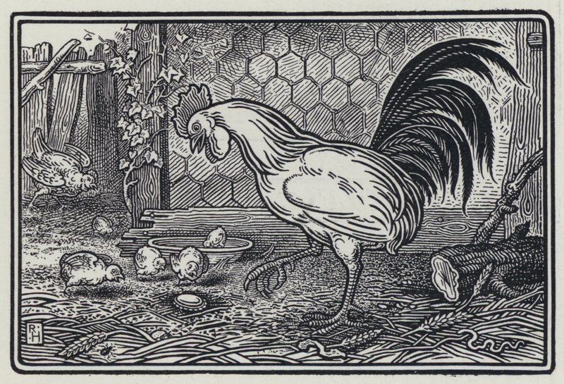 The Cock And The Pearl (rytina) od Richard Heighway