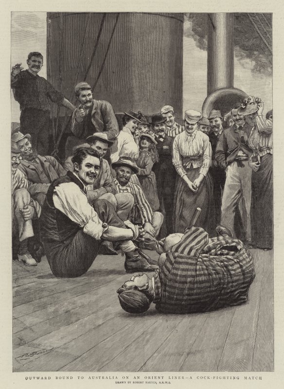 Outward Bound to Australia na Orient Liner, A Cock-Fighting Match od Robert Barnes