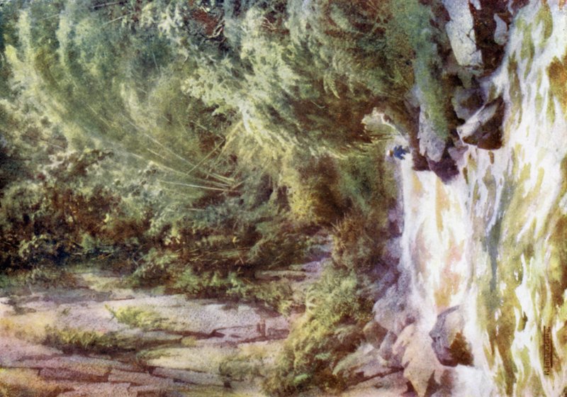 Horský torrent od Robert George Talbot Kelly
