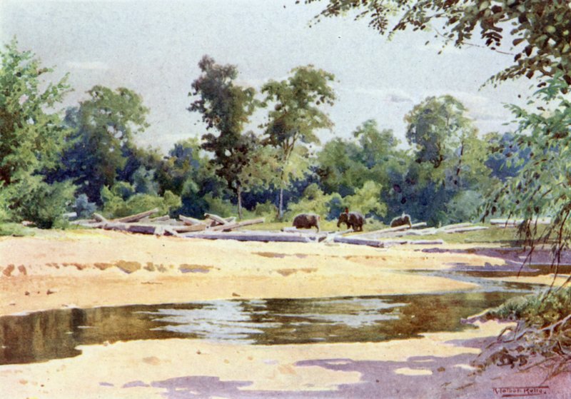 Sloni čistí Pone of Log v Kokogonu od Robert George Talbot Kelly