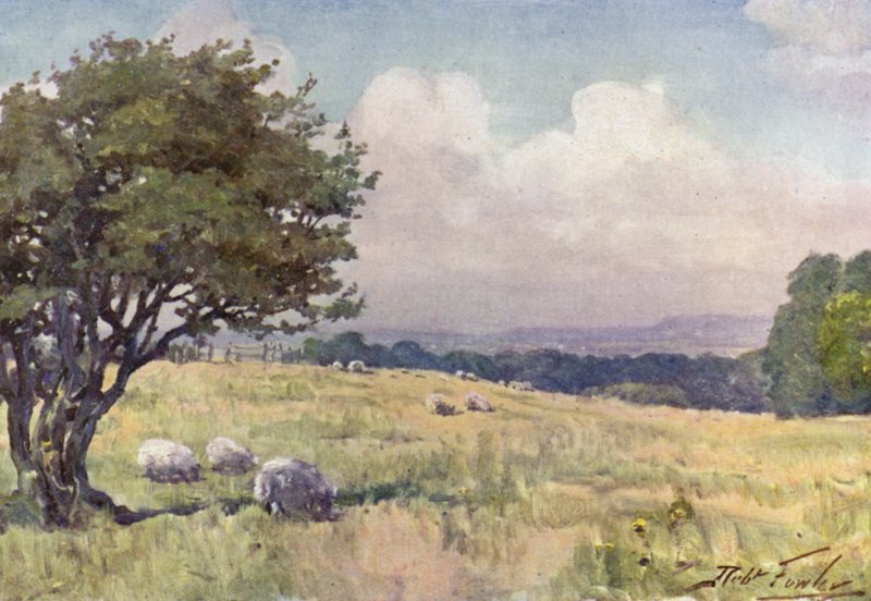 Sunny Field, poblíž Llanberis (barva litho) od Robert (after) Fowler