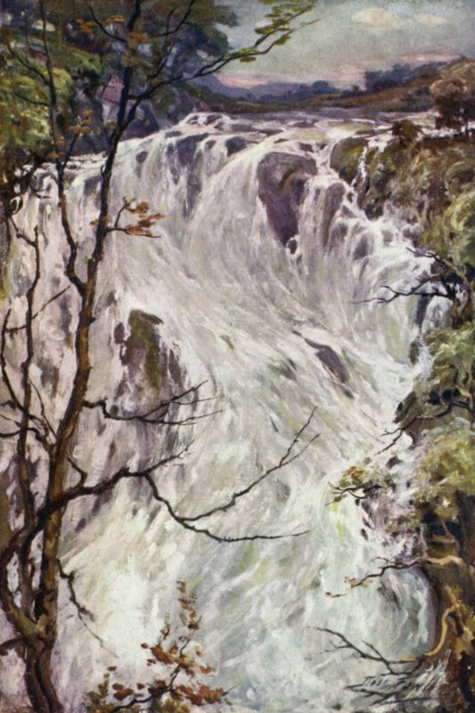 Swallow Falls, Bettws-y-Coed (barevné lito) od Robert (after) Fowler