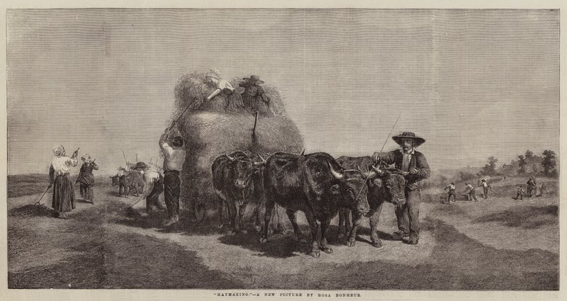 Senoseč od Rosa Bonheur