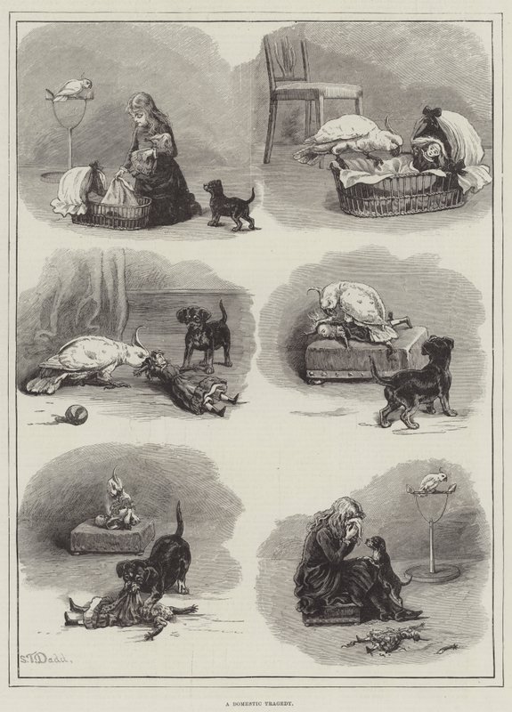 Domácí tragédie od S.T. Dadd
