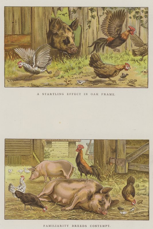 Scény ze dvora (chromolit) od S.T. Dadd