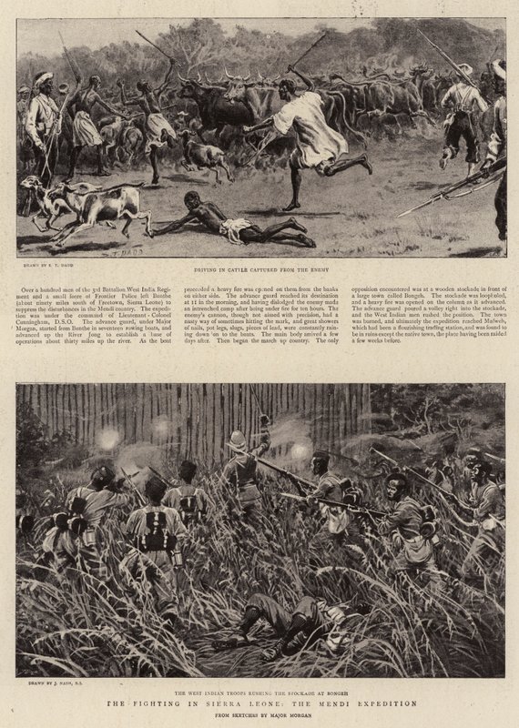 Boje v Sierra Leone, expedice Mendi od S.T. Dadd