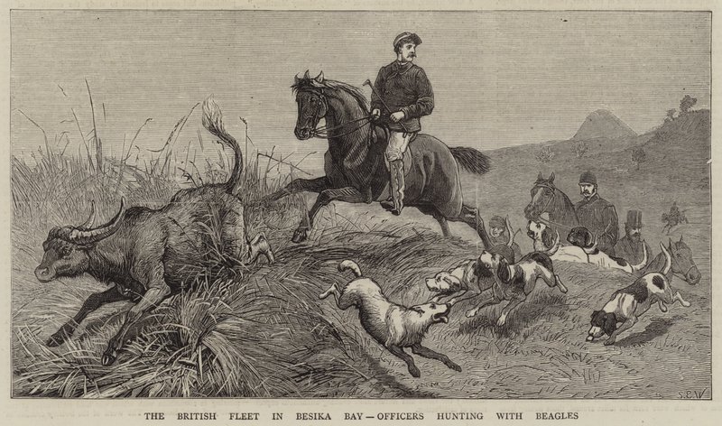 Britská flotila v zátoce Besika, důstojníci na lovu s bígly od Samuel Edmund Waller
