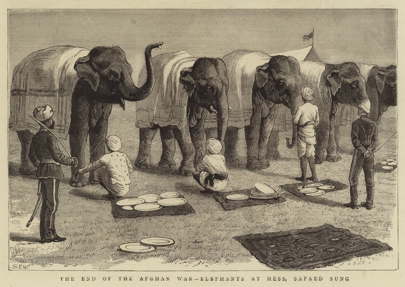 Konec afghánské války, Sloni v nepořádku, Safaed Sung od Samuel Edmund Waller