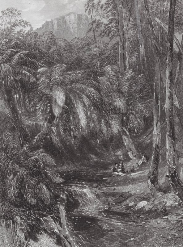 Austrálie: Údolí kapradin (rytina) od Samuel (after) Prout