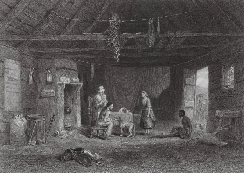 Austrálie: Australský ovčák (rytina) od Samuel (after) Prout