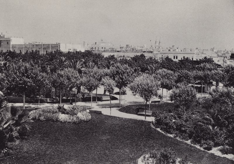 Cádiz: Parque Genoves (černobílá fotografie) od Spanish Photographer