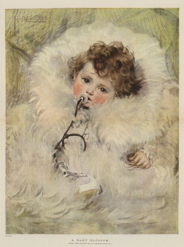 Baby Blossom (chromolitho) od St. George Hare
