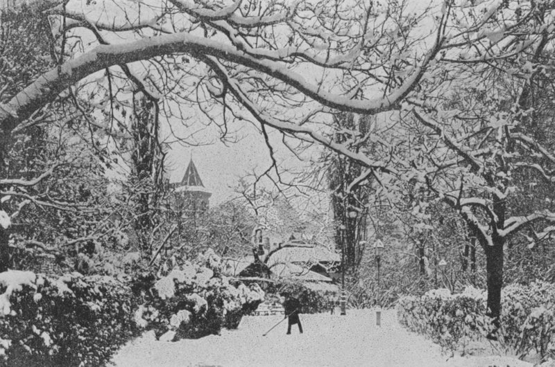 Neuchatel, Anglická zahrada (č/b foto) od Swiss Photographer