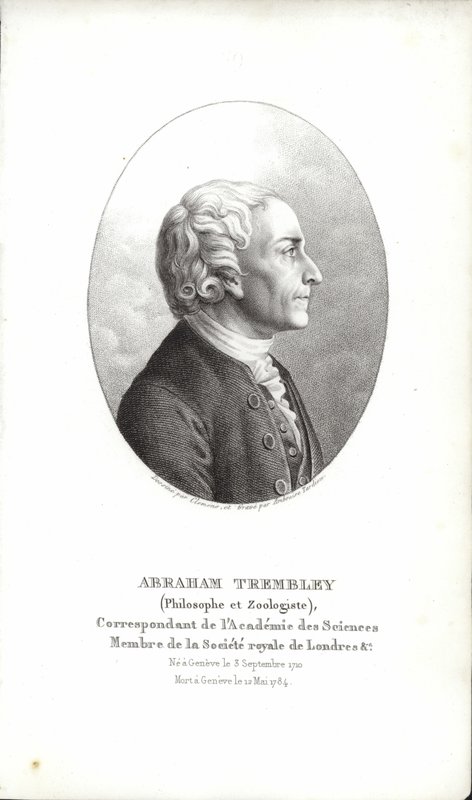 Abraham Trembley od Swiss School