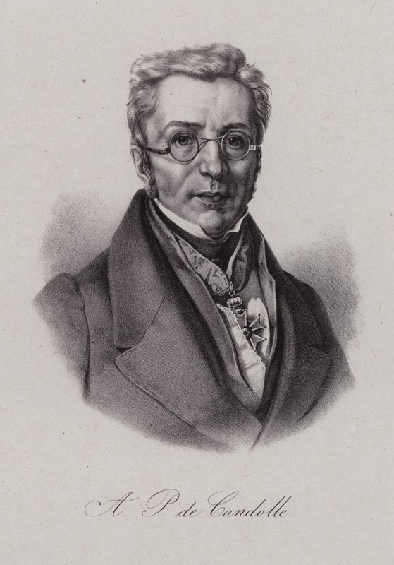 Augustin Pyramus z Kuby, švýcarský botanik (rytina) od Swiss School