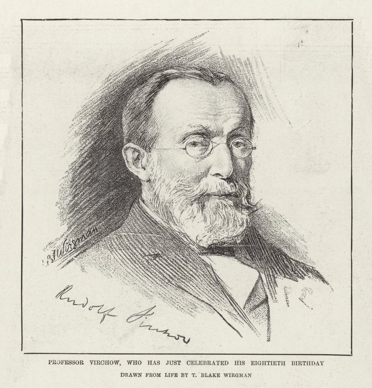 Profesor Virchow, který právě oslavil své osmdesáté narozeniny od Theodore Blake Wirgman