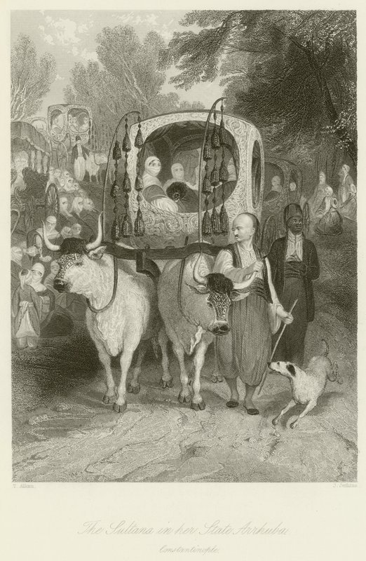 Sultana ve svém státě Arrhuba od Thomas Allom