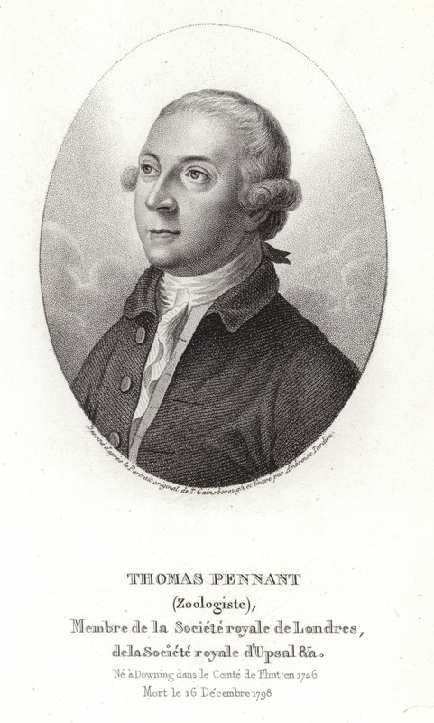 Thomas Pennant od Thomas Gainsborough