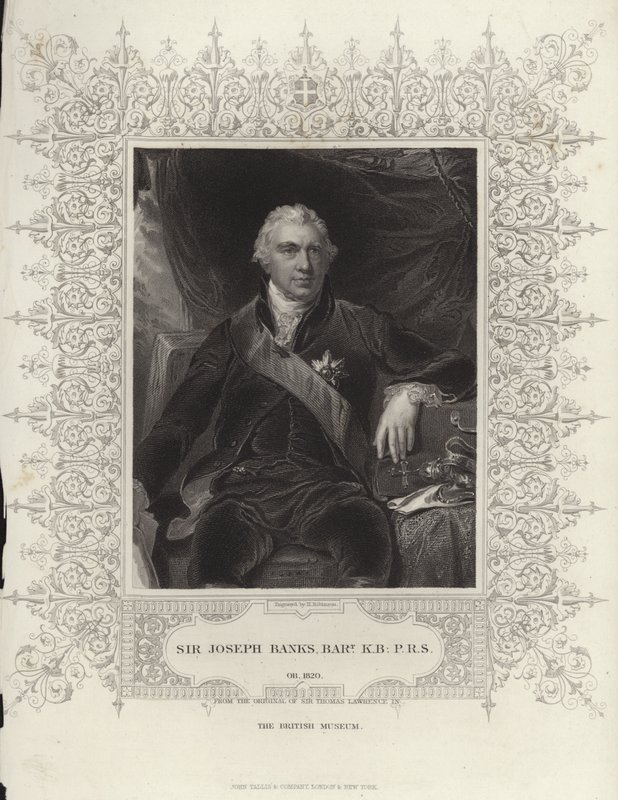 Sir Joseph Banks od Thomas Lawrence