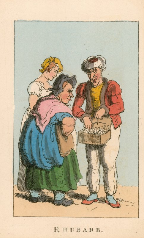 Rebarbora od Thomas Rowlandson