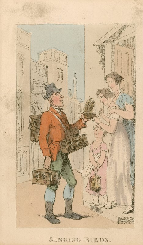Zpívající ptáci od Thomas Rowlandson