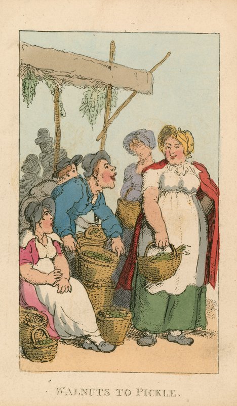 Vlašské ořechy na nakládání od Thomas Rowlandson