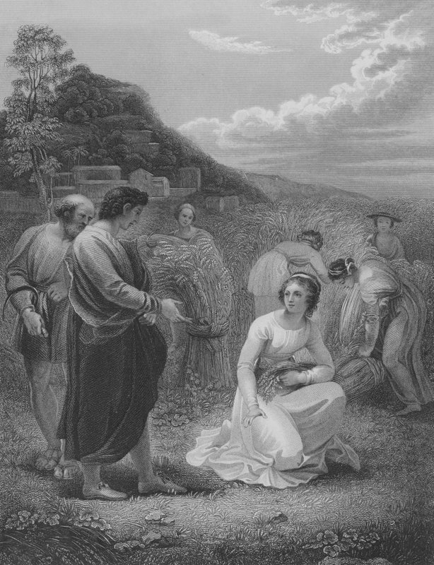 Ruth Gleaning, Ruth 2, verš 1-15 od Thomas Stothard
