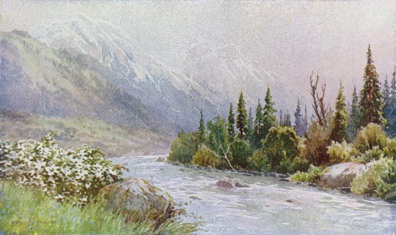 Brzy ráno poblíž Pahalgam, Lidder Valley od Unbekannt Unbekannt
