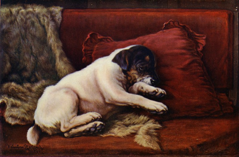 Odpolední snooze (barevné lito) od Valentine Thomas Garland