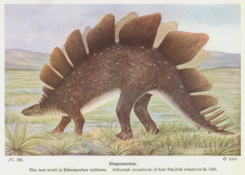 Stegosaurus (barevný litho) od W. J. Stokoe